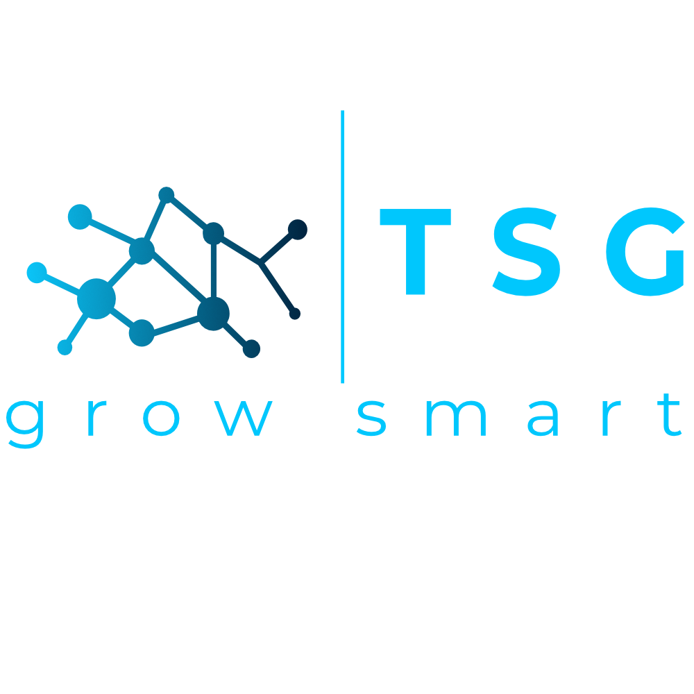 TSG  the sourcing group holding AG